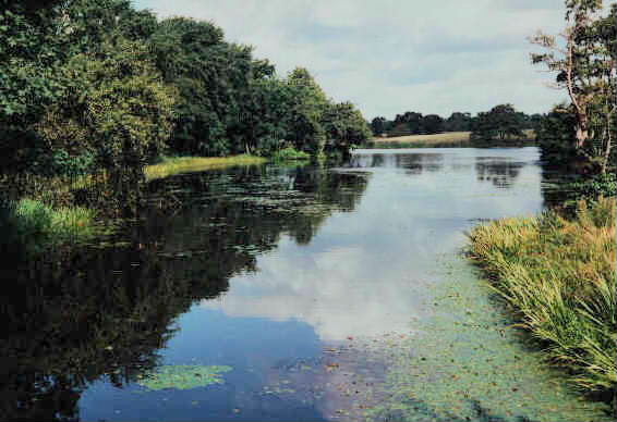 Betley Hall Pool